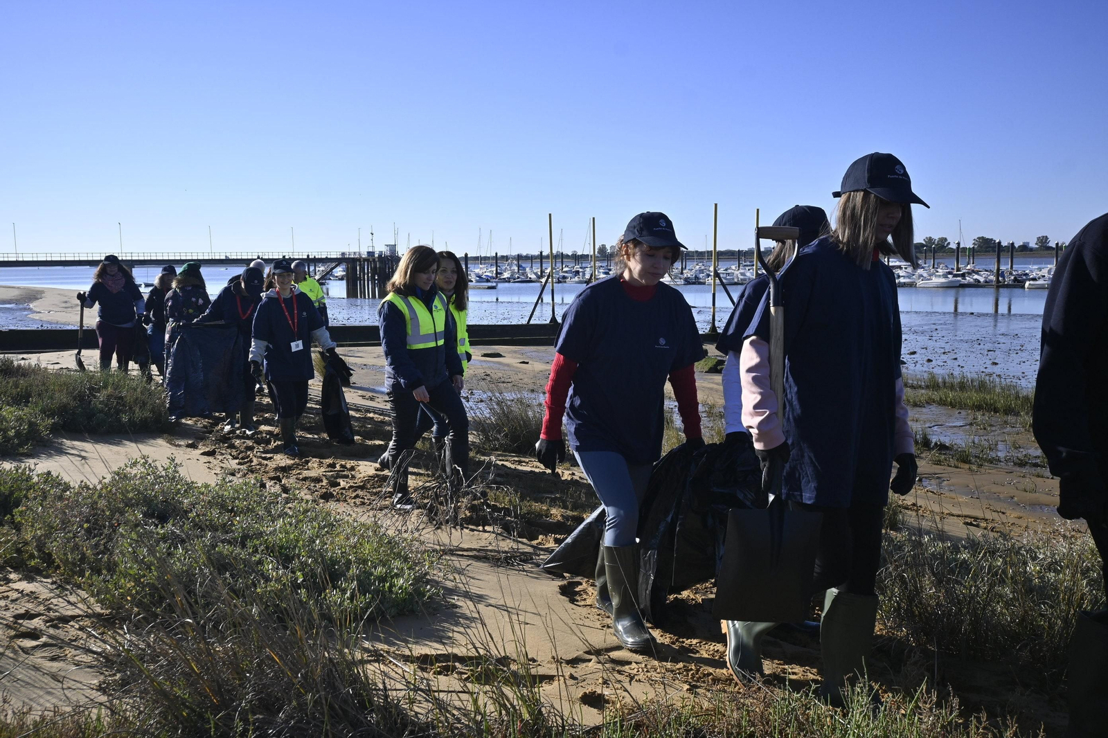 Plantación de la especie autóctona Espartina Marítima en imágenes