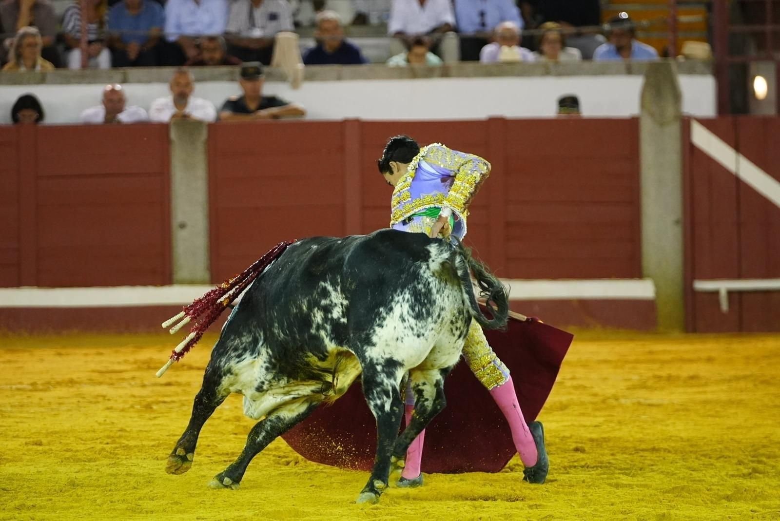 Las mejores imágenes de las corridas de toros de la Feria de Pozoblanco