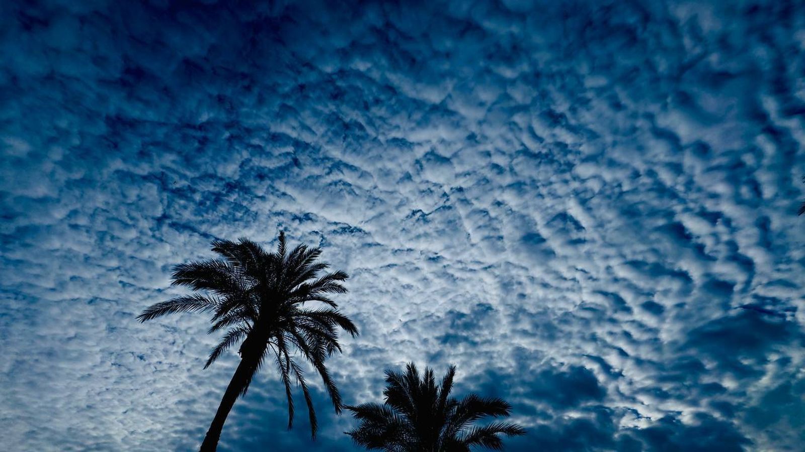 Imágenes del lunes 6 de mayo en Huelva