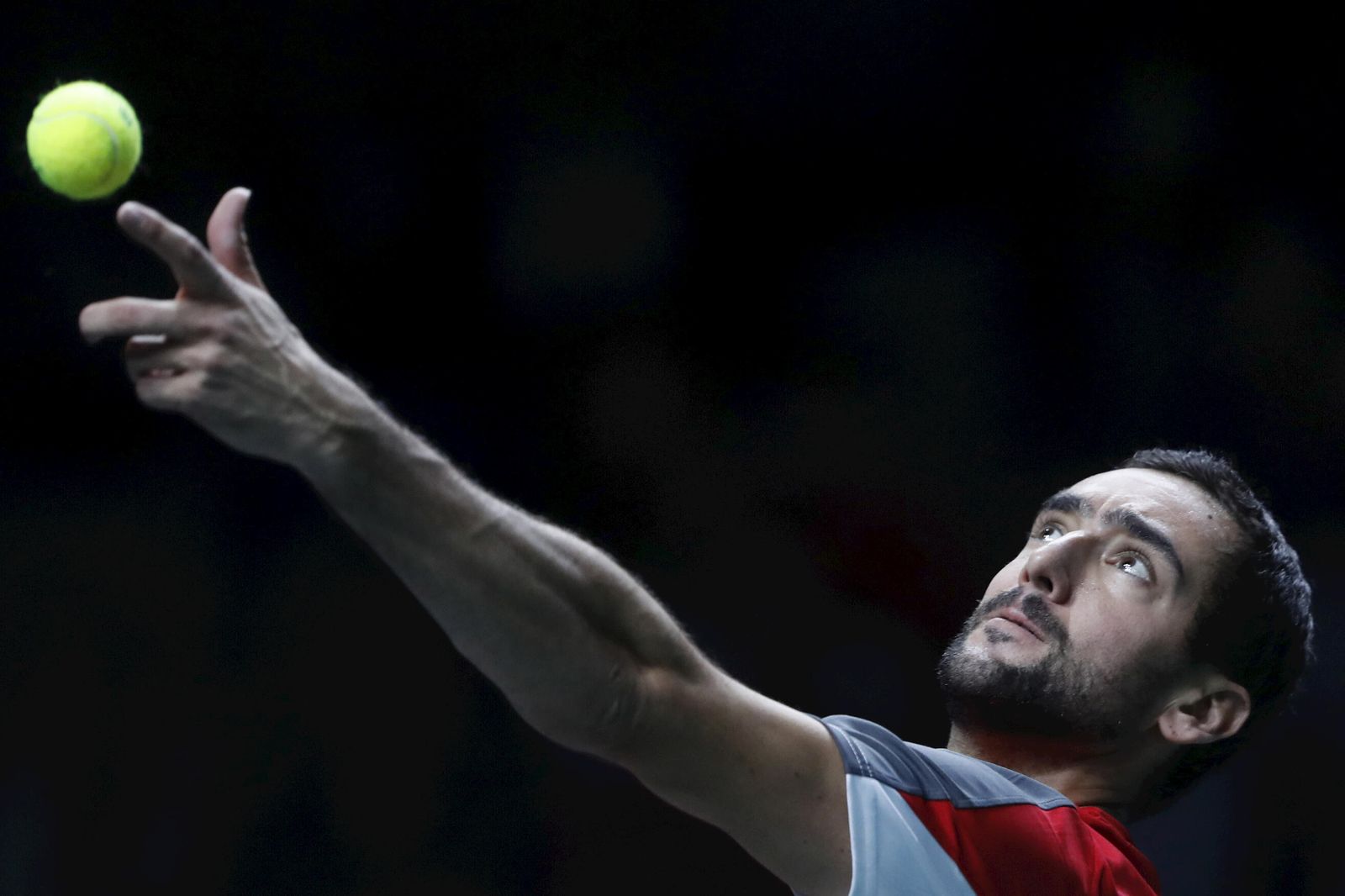 Alex de Miñaur - Marin Cilic de la Copa Davis de Málaga