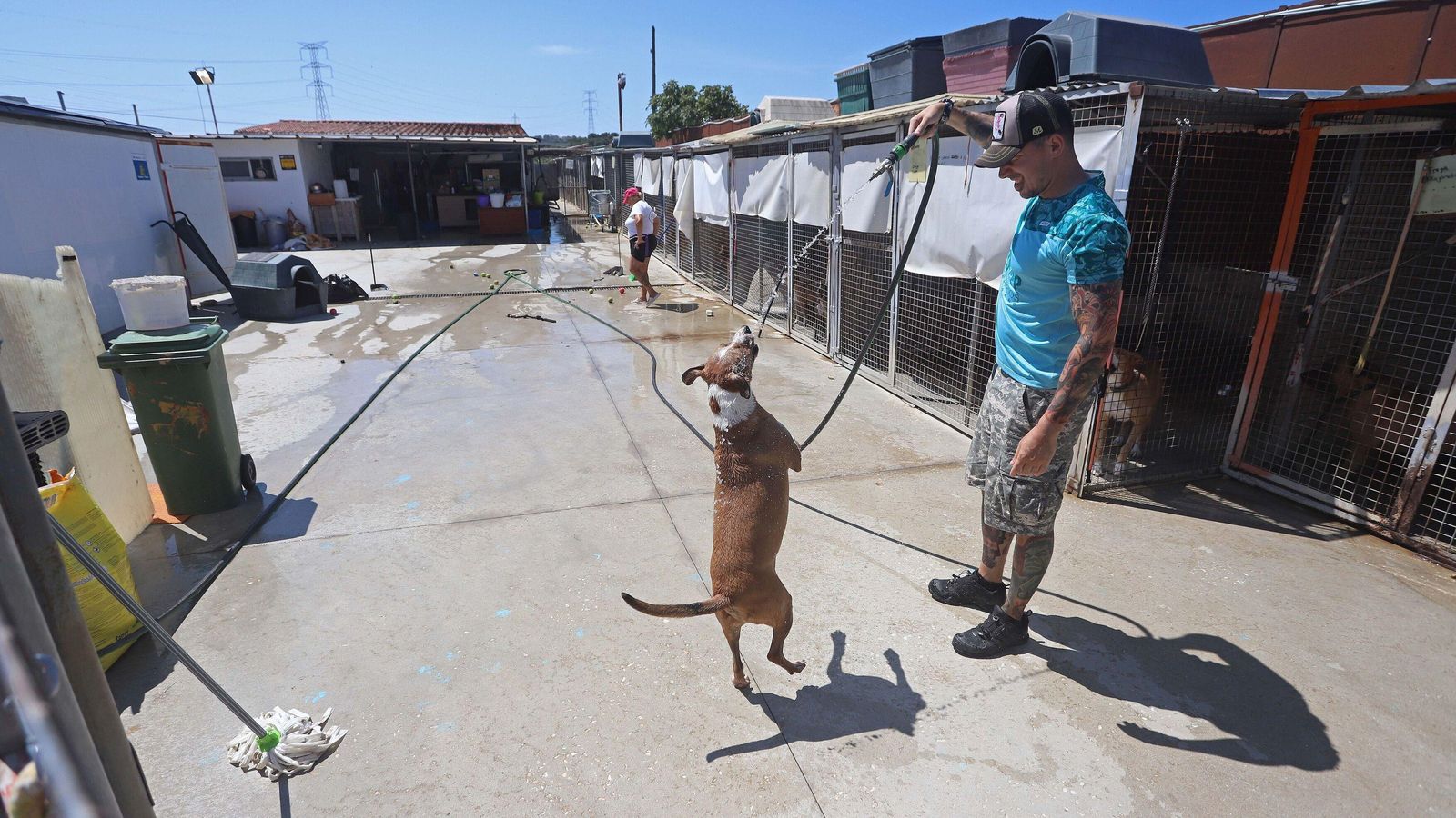 SOS Perrera Los Barrios