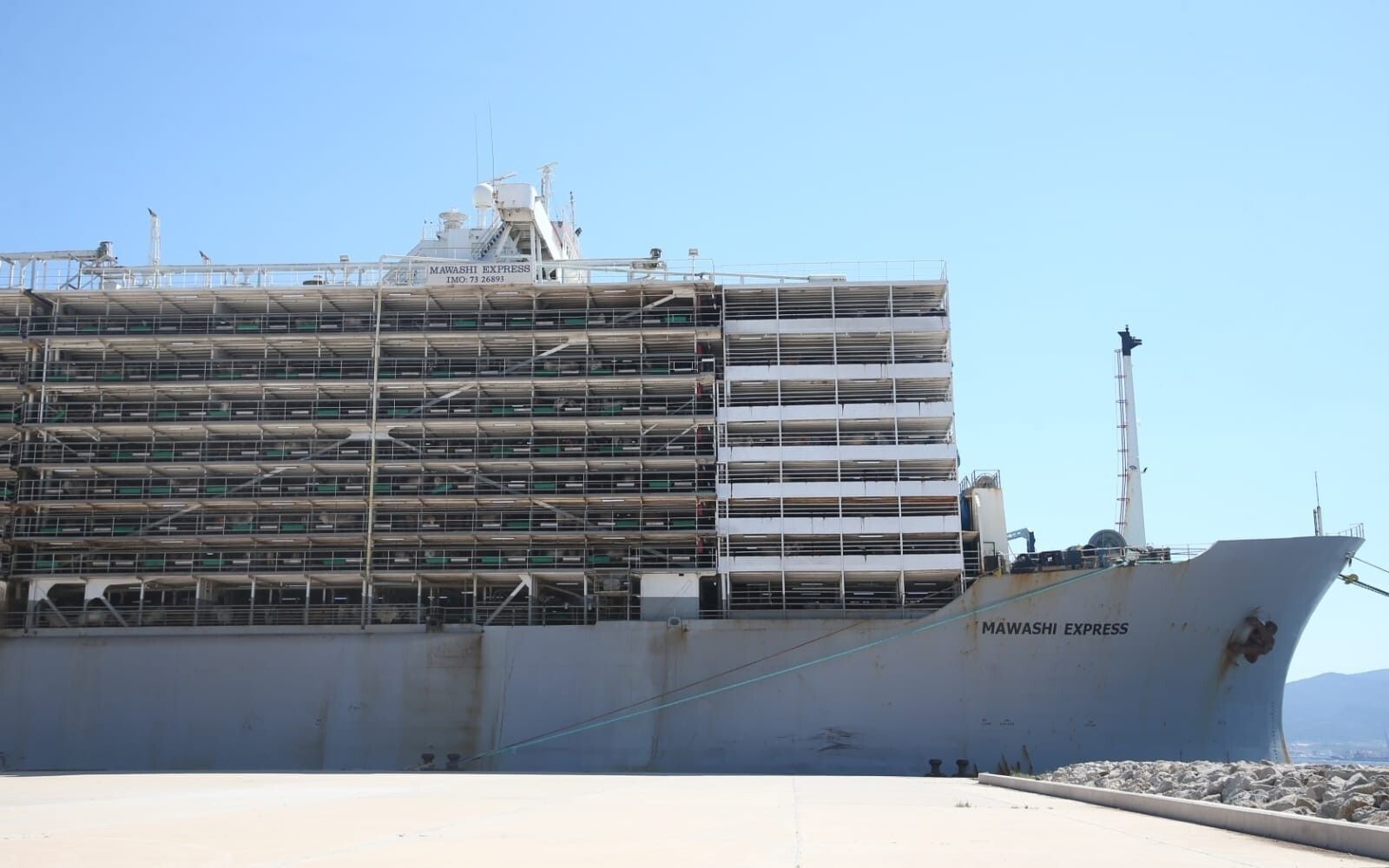 El 'Mawashi Express' sale de San Roque.