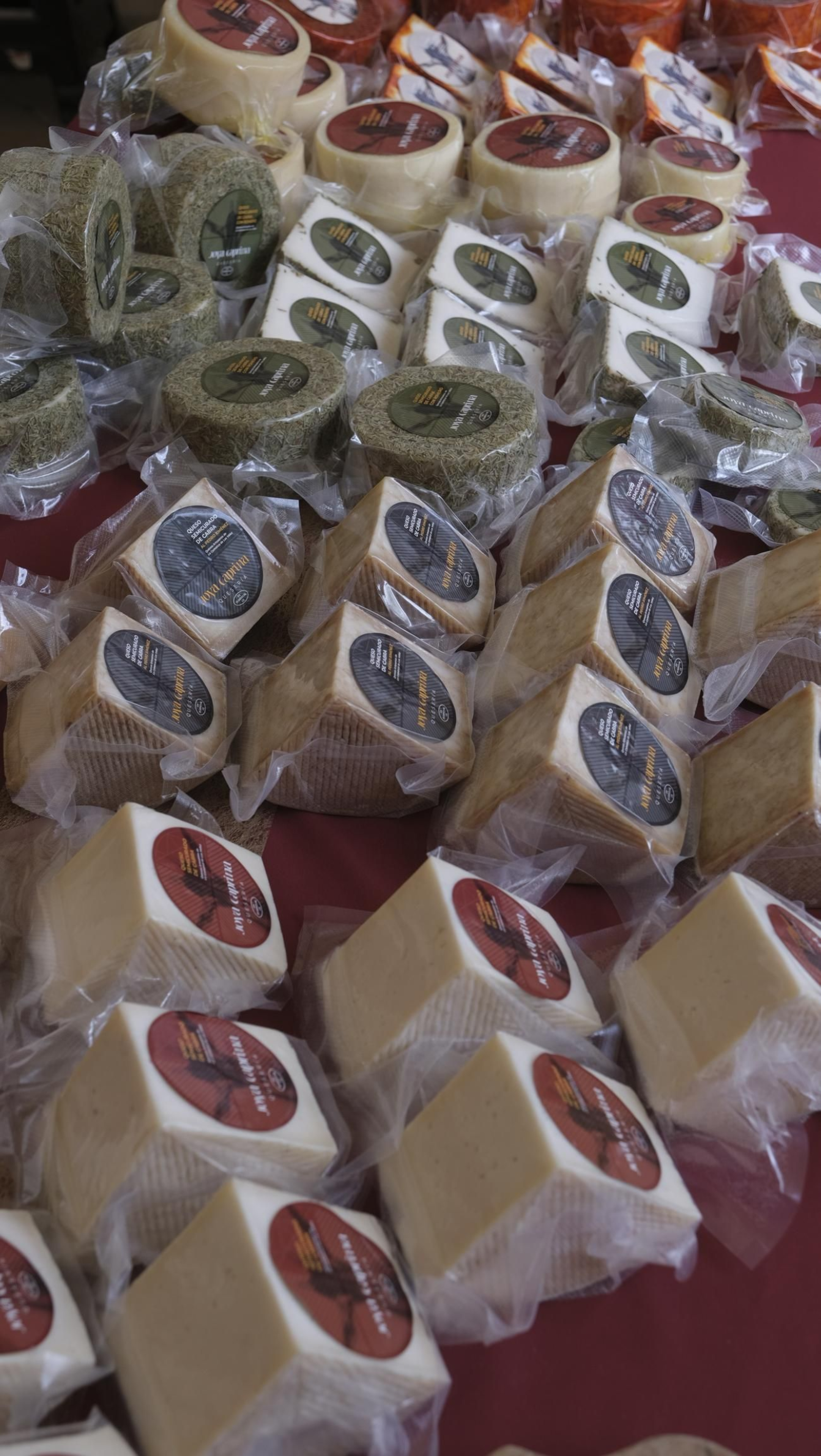 Imágenes de la Terracultura Chirivel 2023, feria de agricultura y maquinaria