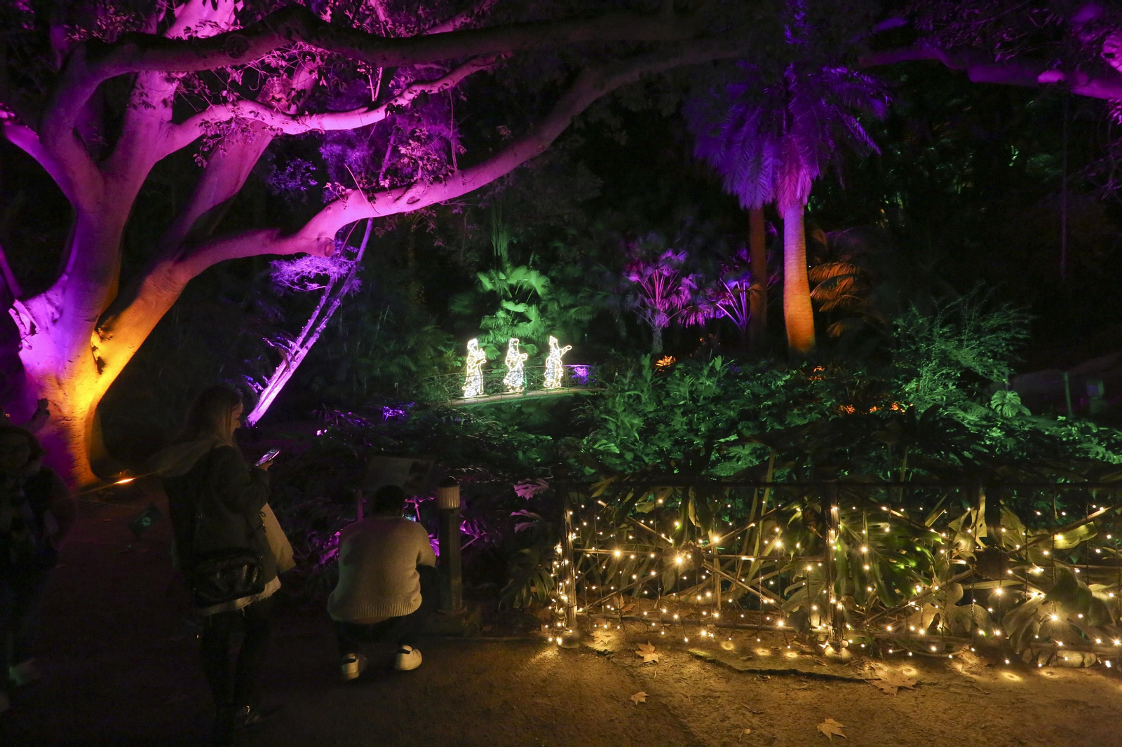 Las luces del Jardín Botánico de Málaga esta Navidad, en fotos
