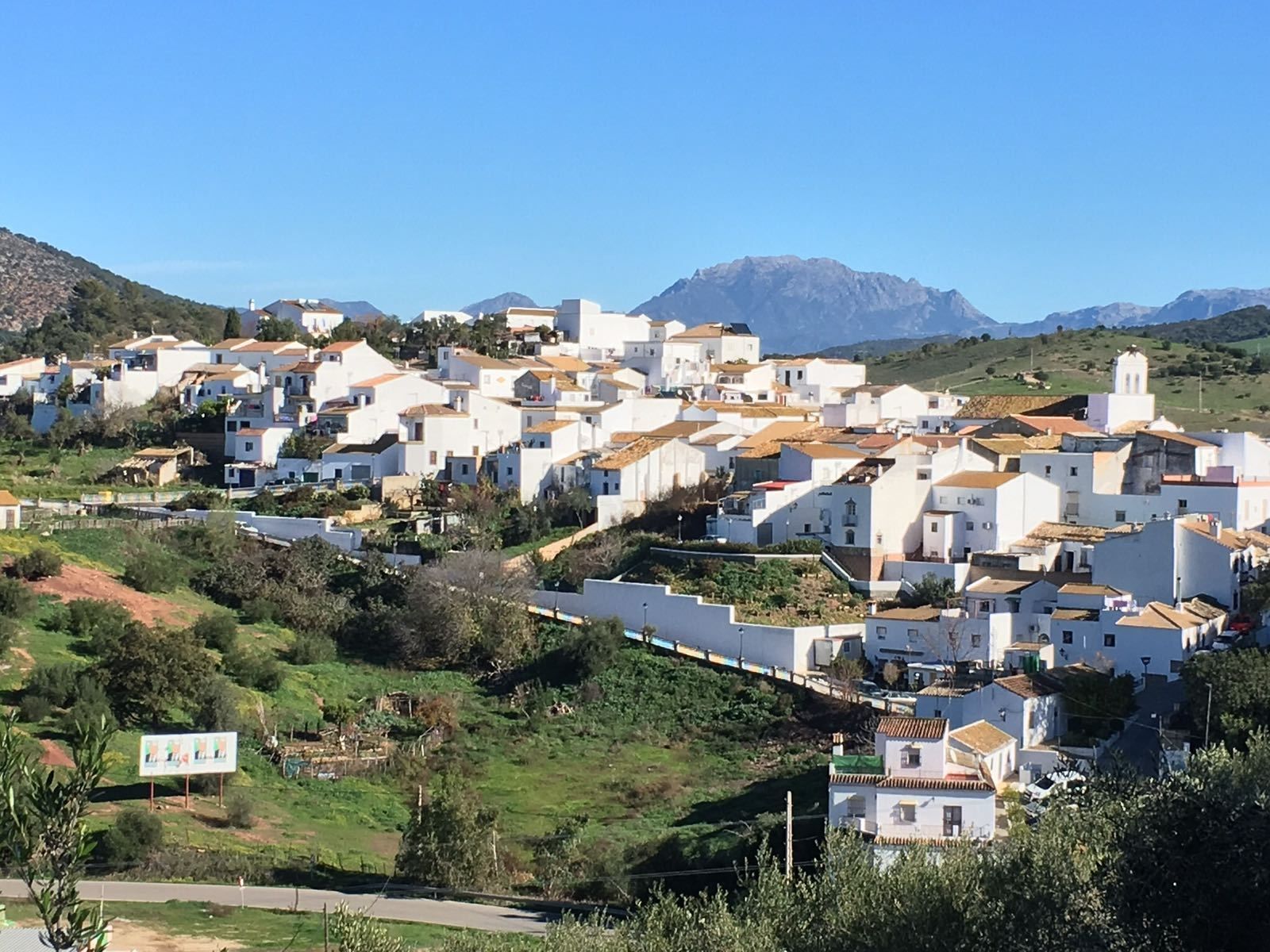 Una vista panorámica de la localidad de Algar.