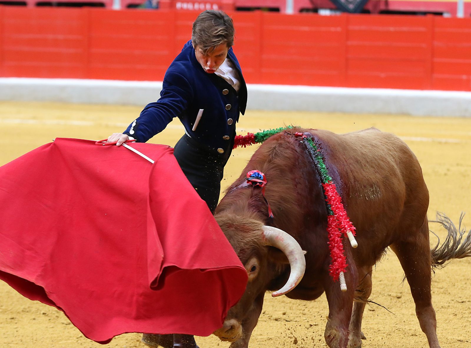 El Festival Taurino Granadown, en imágenes