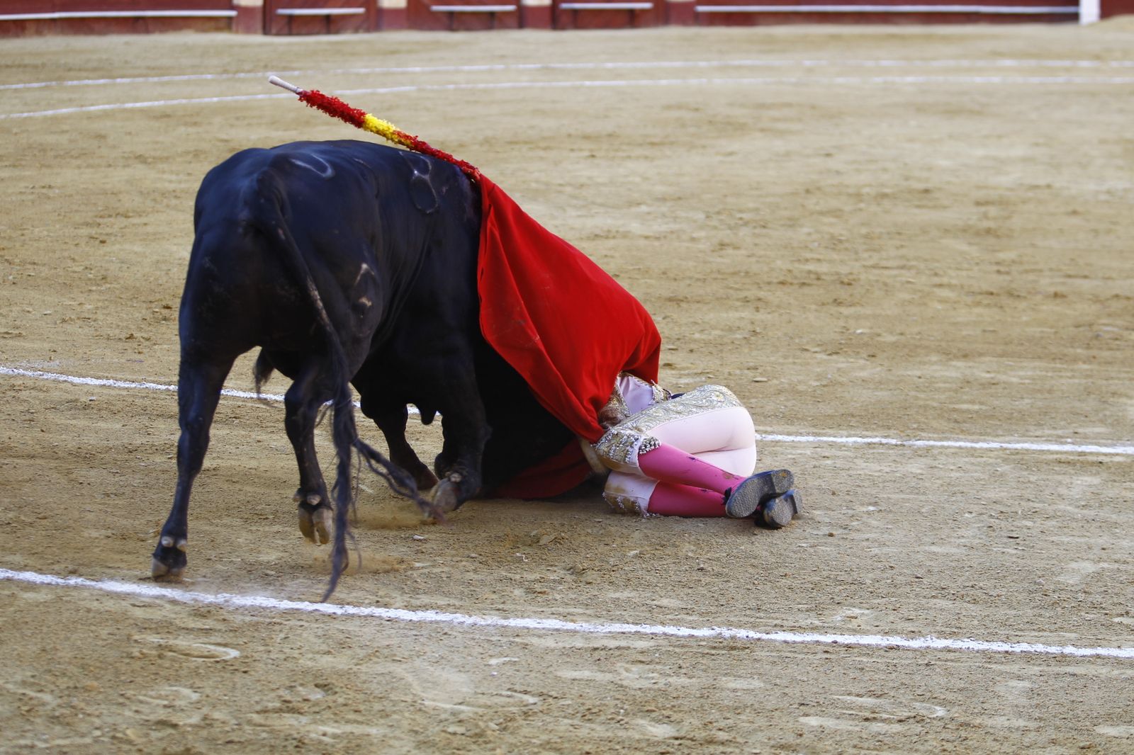 Fotogalería de la novillada de la Feria Taurina de Almería 2022