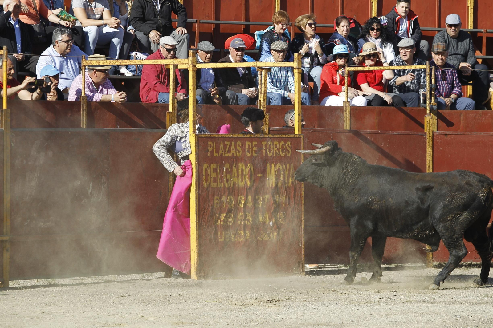 Fotogalería Novillada Fiestas de Abrucena