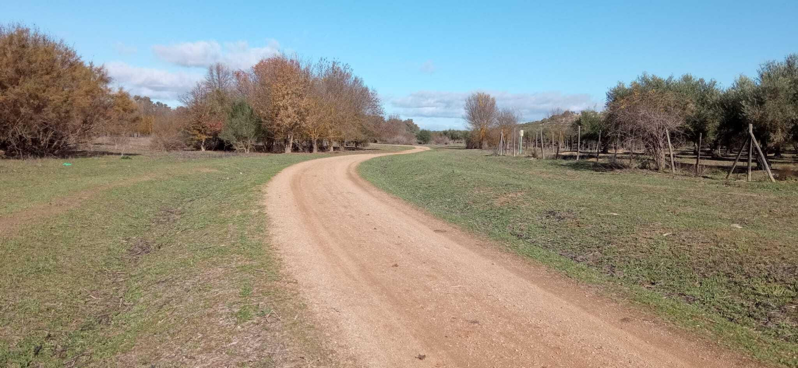 Las imágenes de la ruta ornitológica del corredor verde
