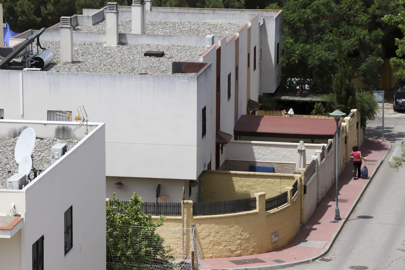 Campanillas en fotos