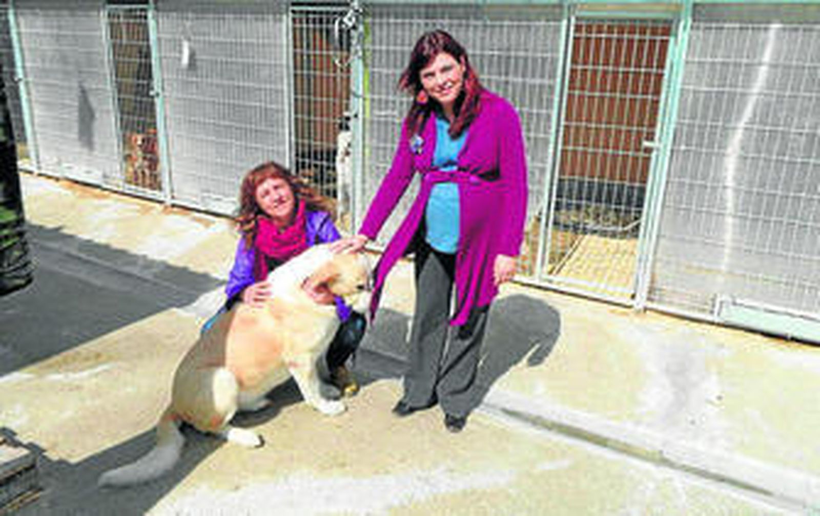 Instalaciones de la perrera municipal de Priego de Córdoba.