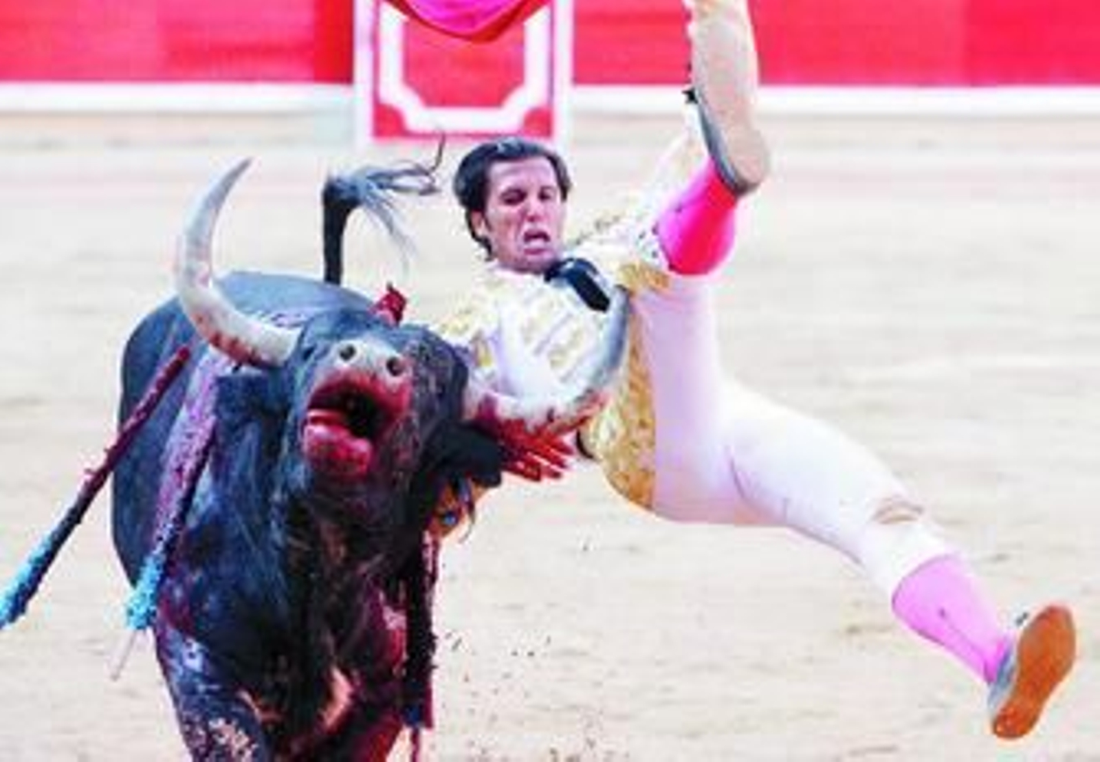 El torero David Mora sufre una espectacular voltereta del segundo de Dolores Aguirre.