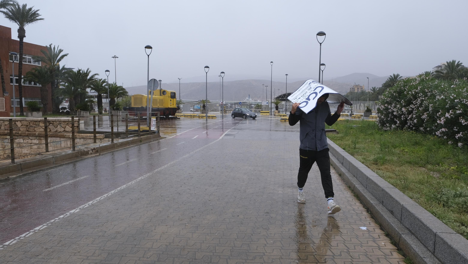 Los almerienses expresan su alegría por la lluvia