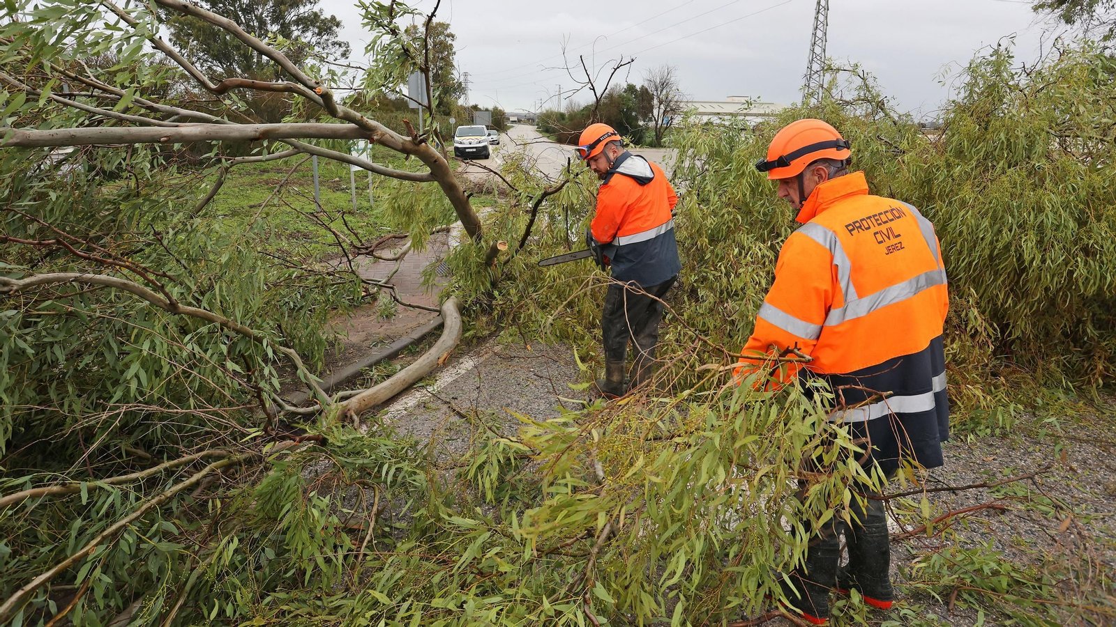 Imágenes del temporal de viento y lluvia en Jerez