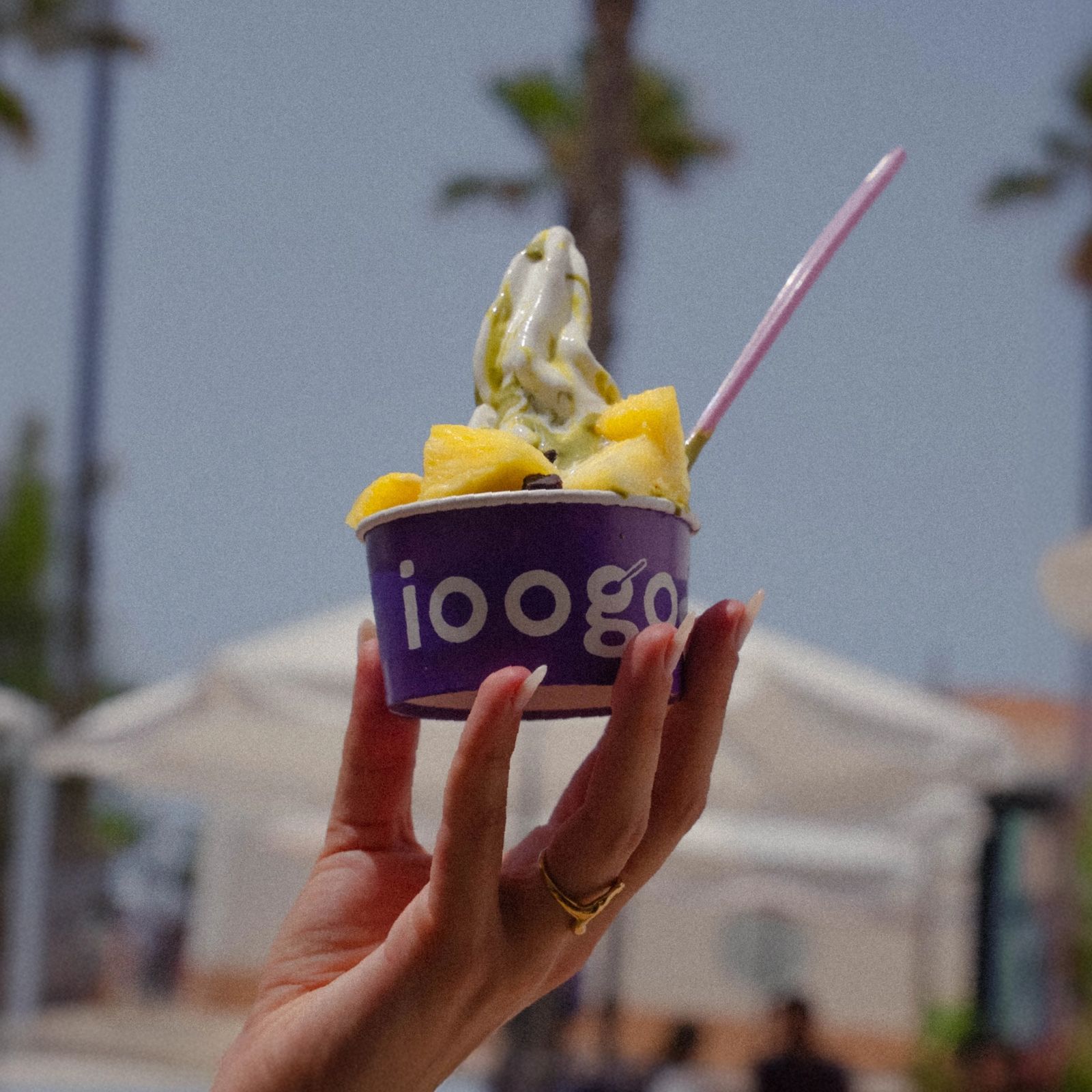 Yogurtería Ioogo (Almerimar)