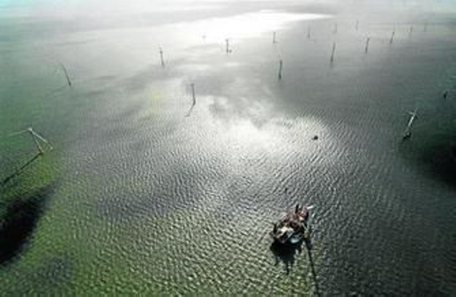 Parque eólico marino en el Norte de Europa, en una imagen de Siemens.