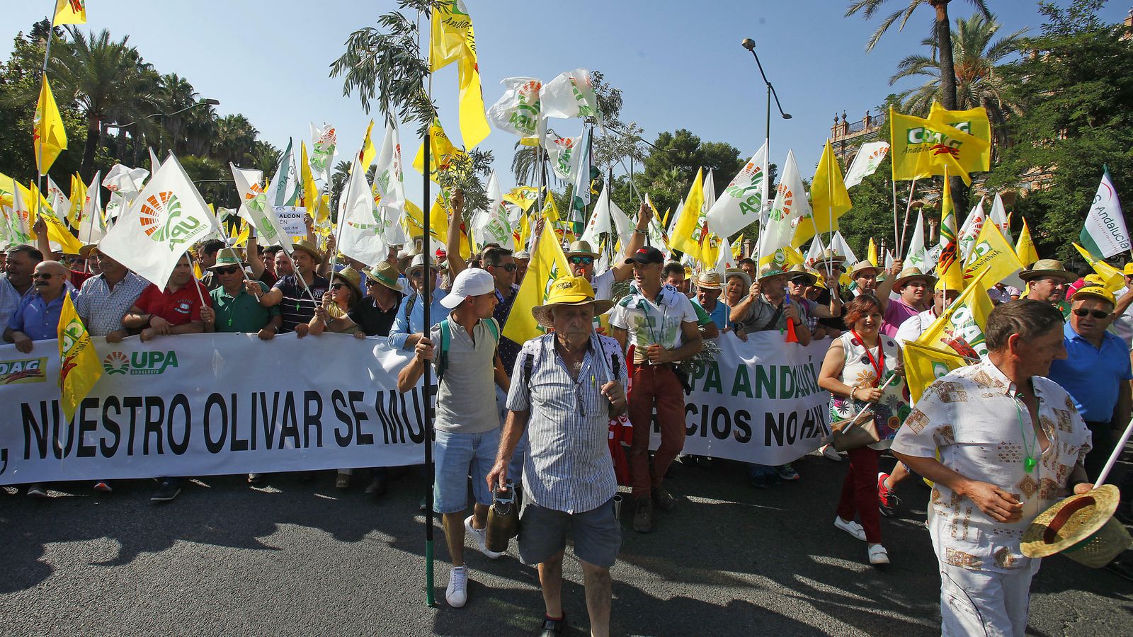 Multitudinaria protesta contra la especulación con el aceite andaluz en Sevilla.