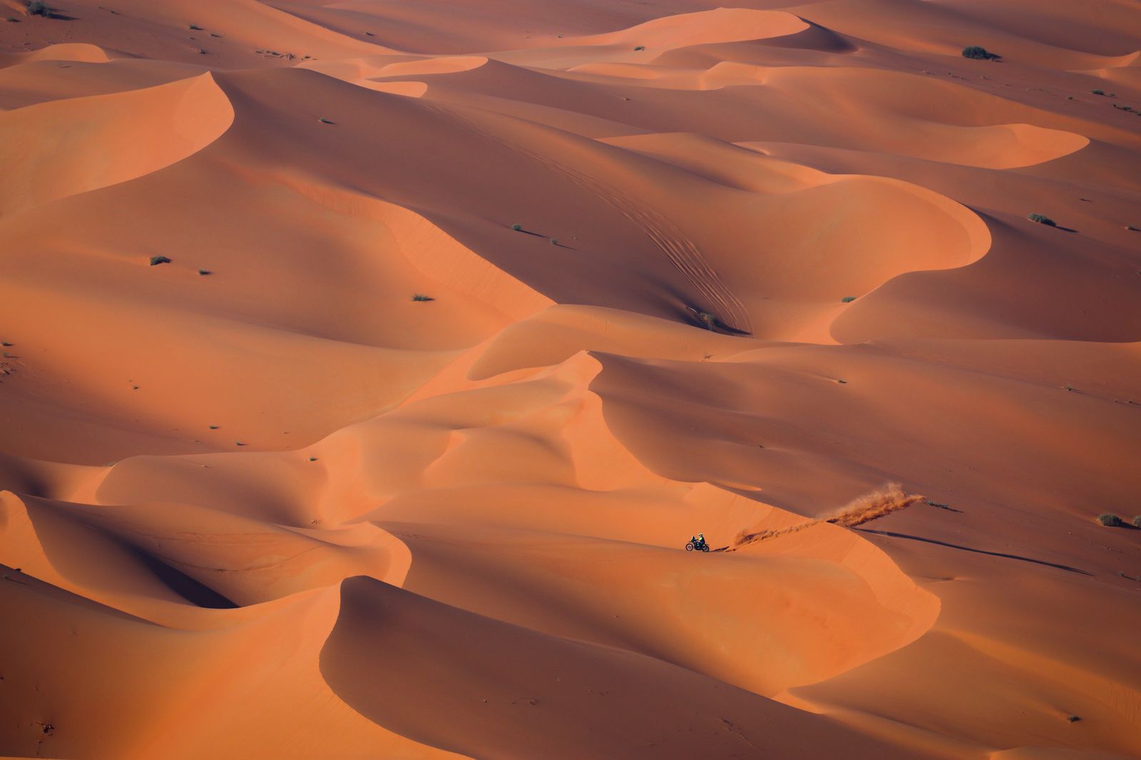 Las mejores fotos del Dakar por las dunas