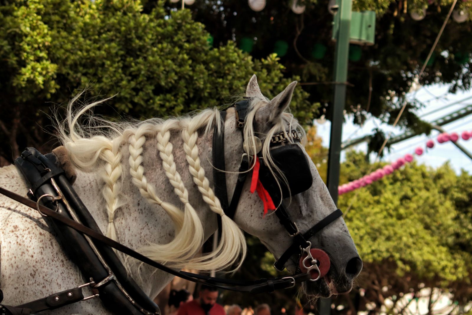 Feria de Málaga: las mejores imágenes de la fiesta en el Real este jueves