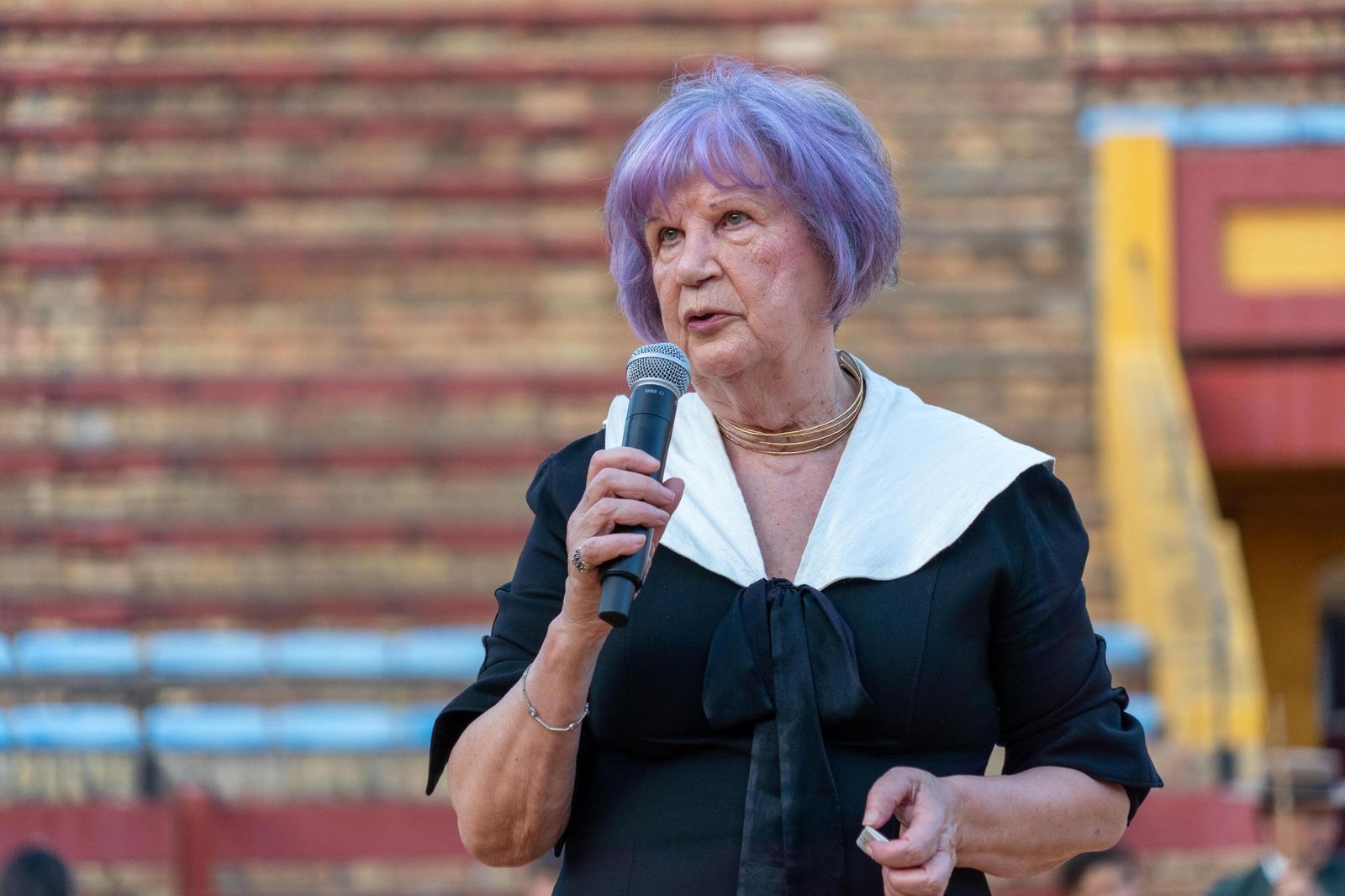 Imágenes de la presentación oficial de la Feria Taurina de Colombinas 2025.