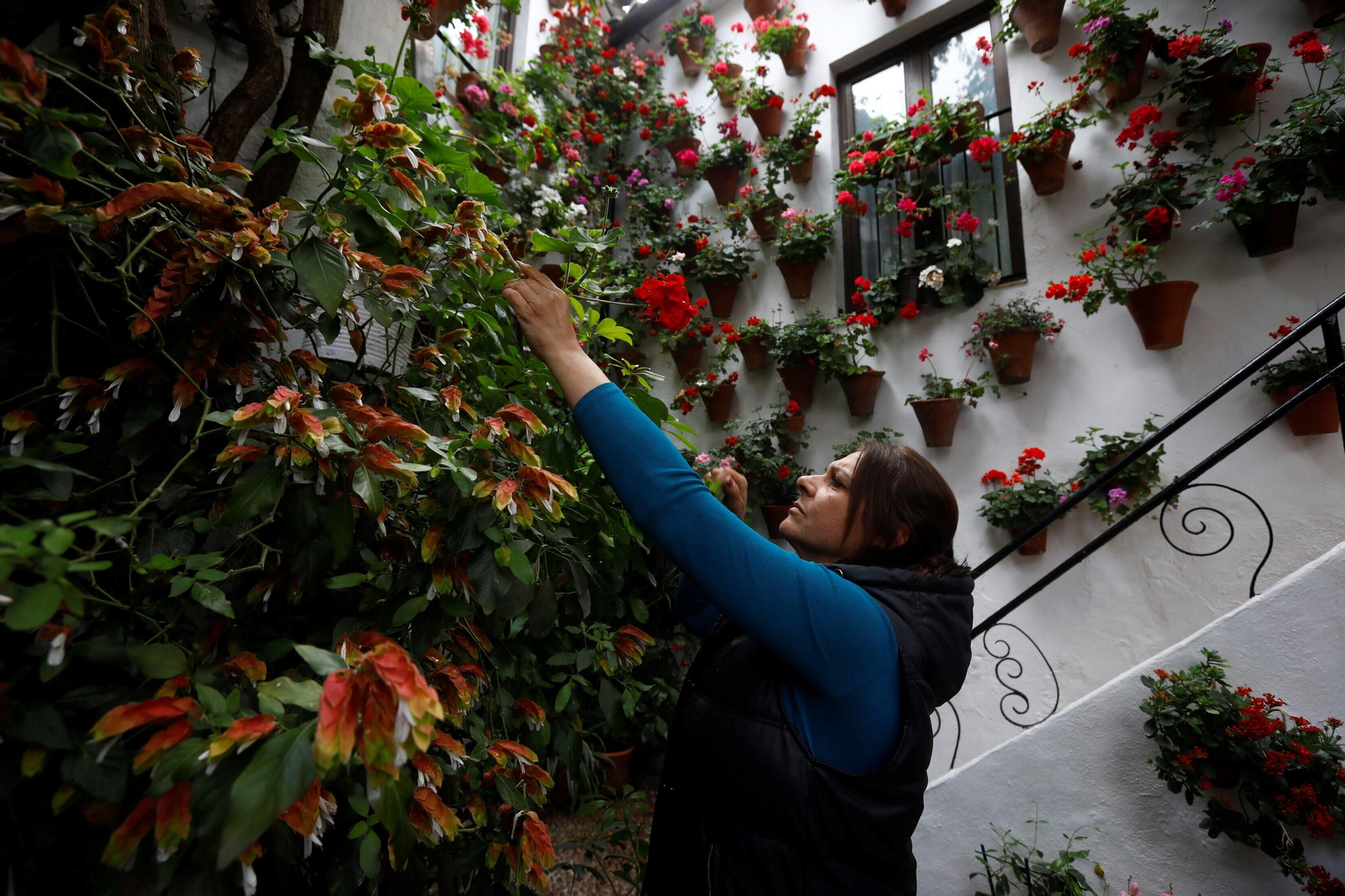 Los últimos preparativos en los Patios de Córdoba para el concurso, en imágenes