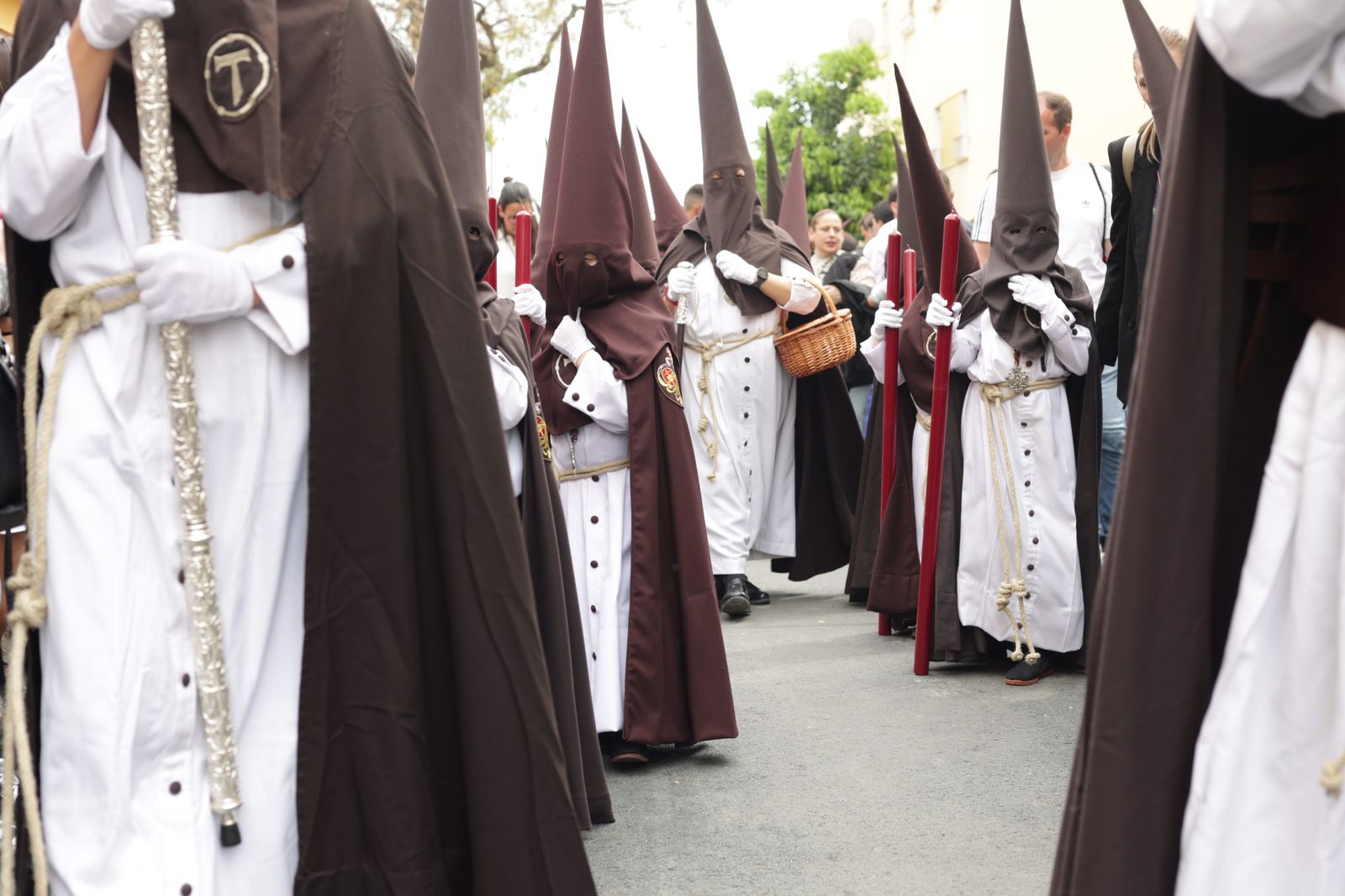 Martes Santo: la Hermandad de la Salud en imágenes