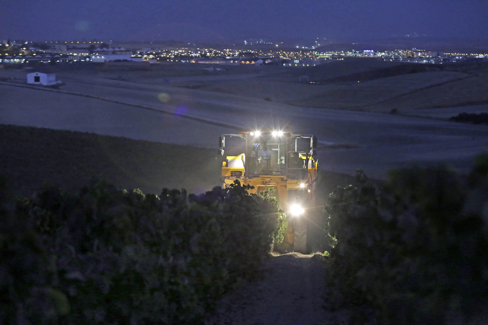 Nuevas formas de vendimiar