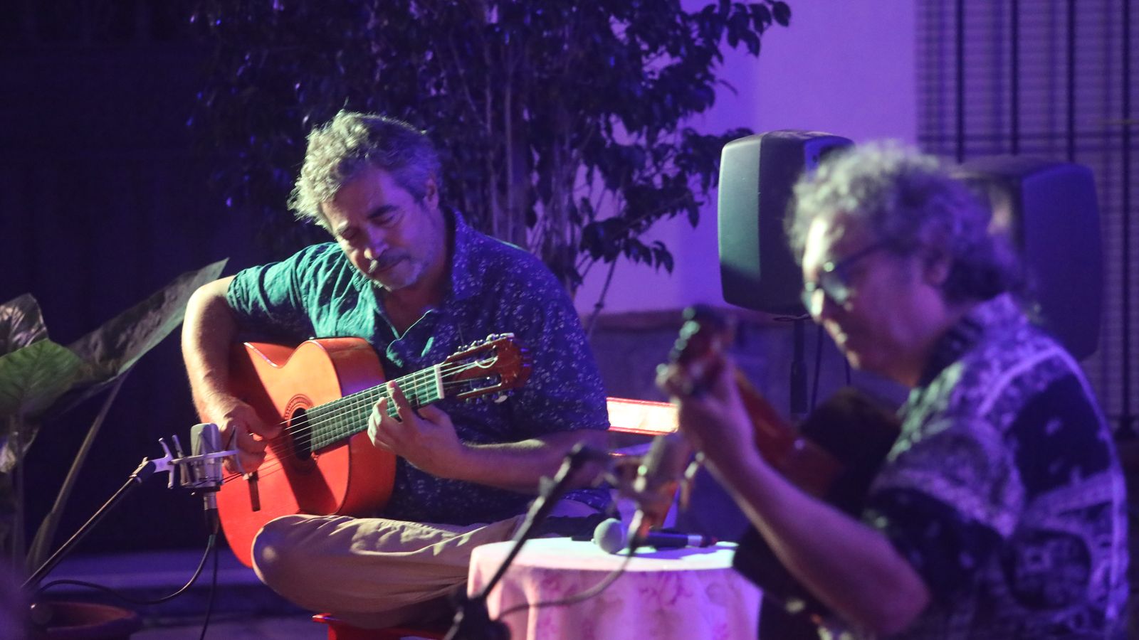 Nono García y Tito Alcedo, durante el concierto en San Fernando.