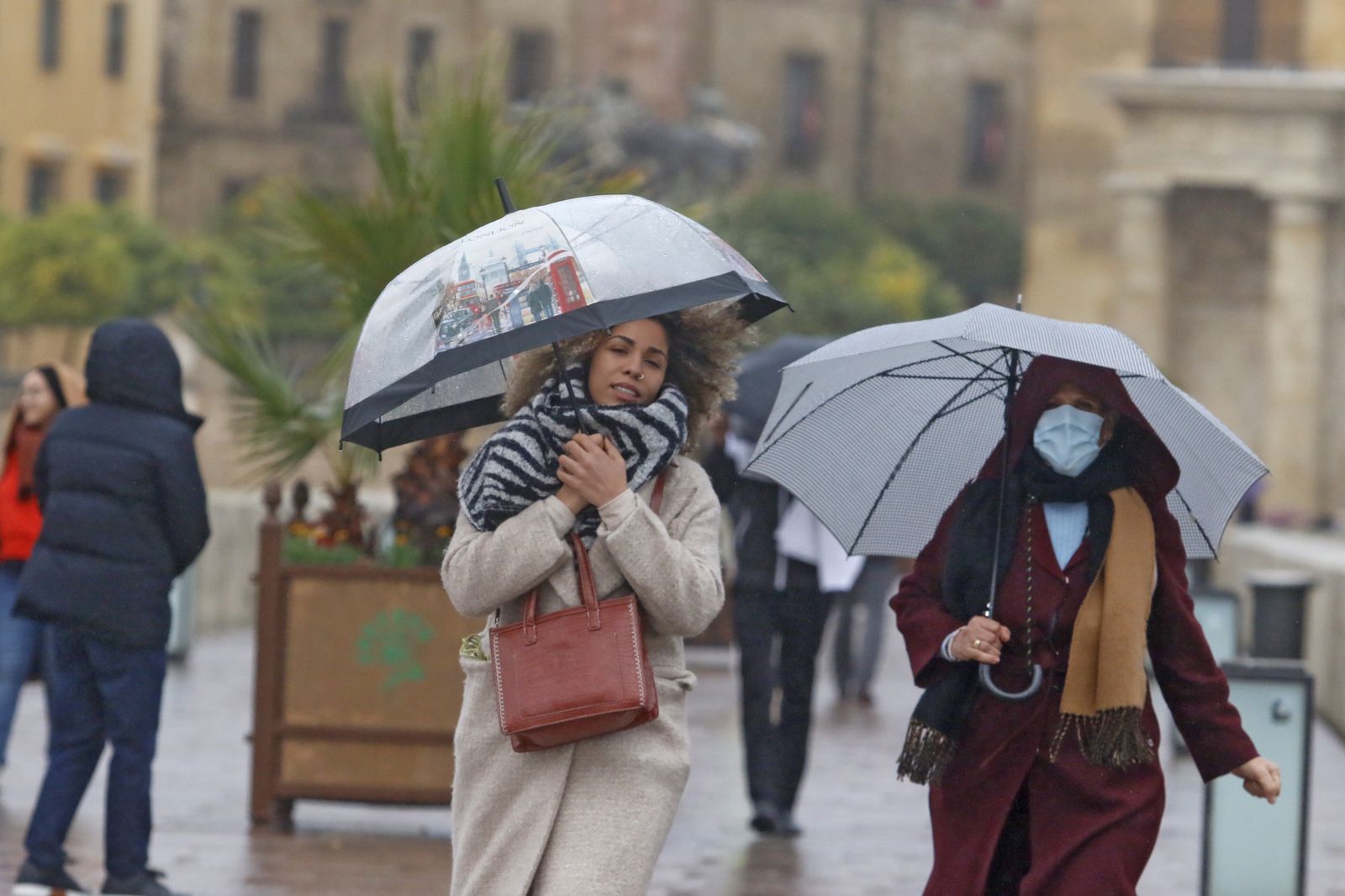 Un día de Navidad en Córdoba pasado por agua, en fotografías