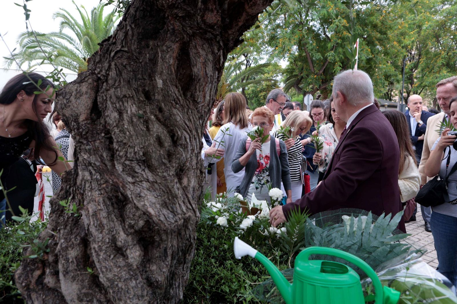 El Árbol de los Donantes en el Hospital Virgen del Rocío.