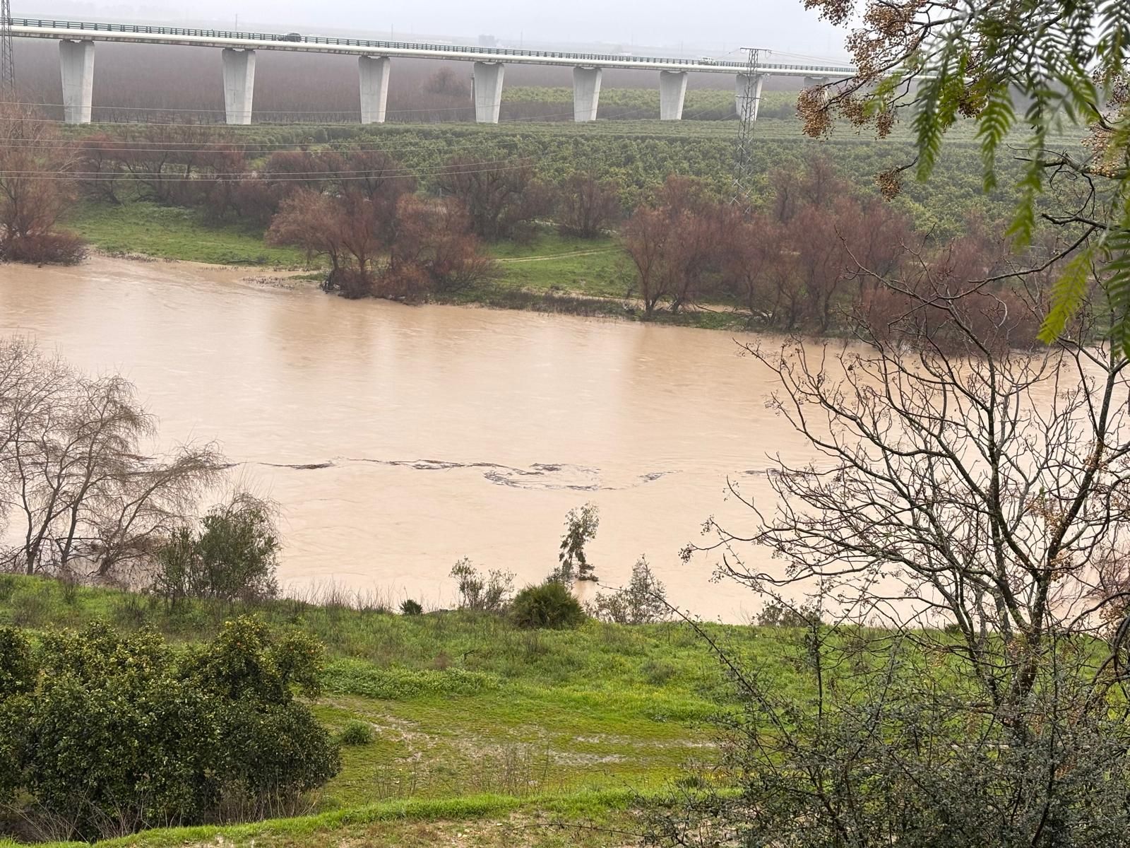 El Guadalquivir en Palma del Río.
