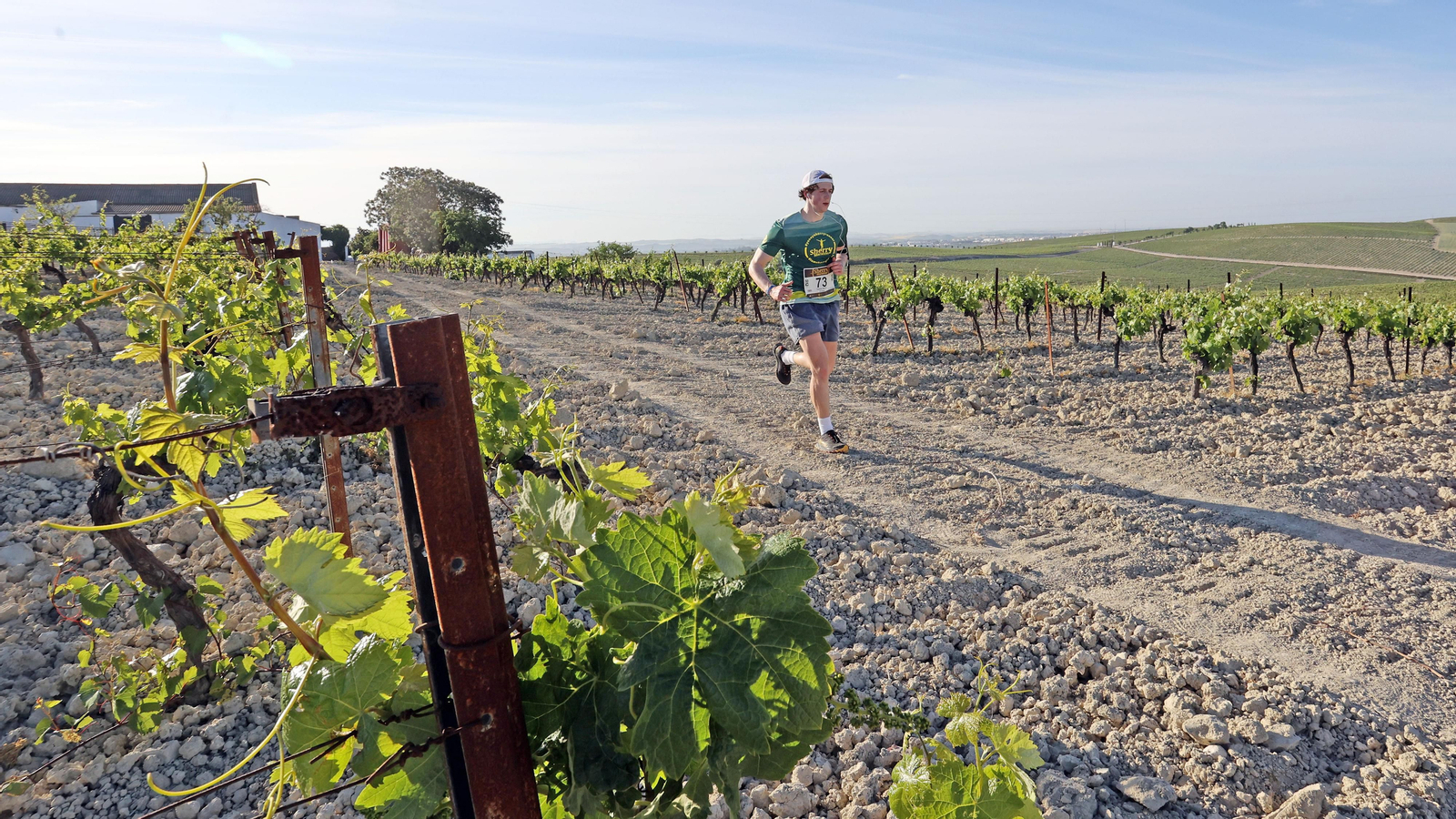 VI Sherry Maratón Jerez