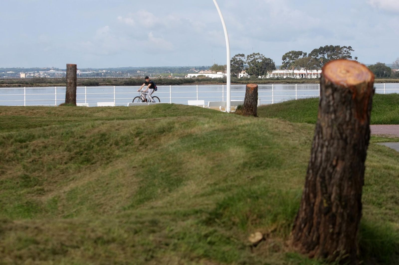 Imágenes del sábado 11 de noviembre en Huelva