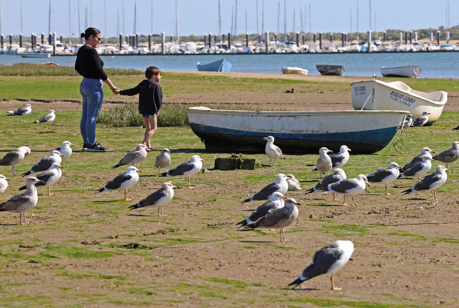 Las imágenes más destacadas del miércoles 28 de febrero en Huelva