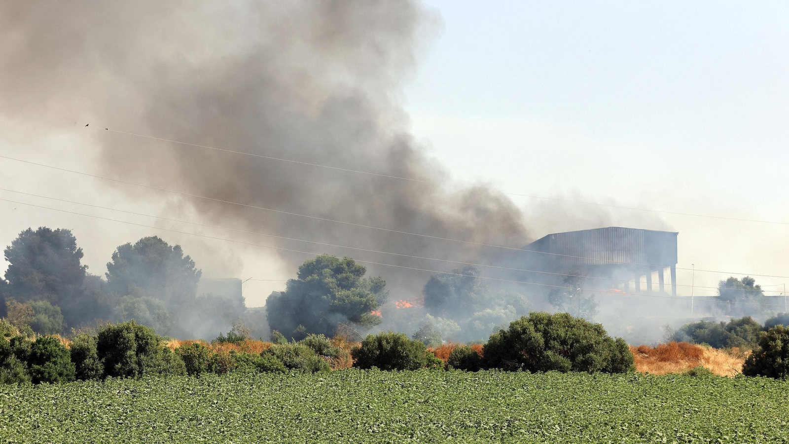 Imágenes del incendio en la planta de Las Calandrias en Jerez