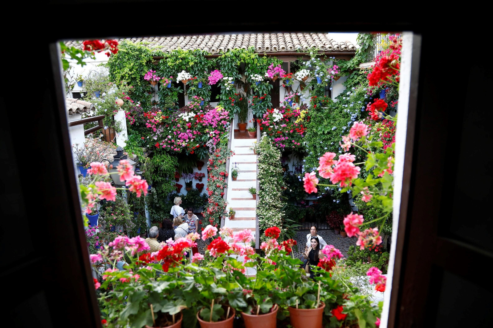 Los ganadores del Concurso de Patios de Córdoba 2023, en imágenes