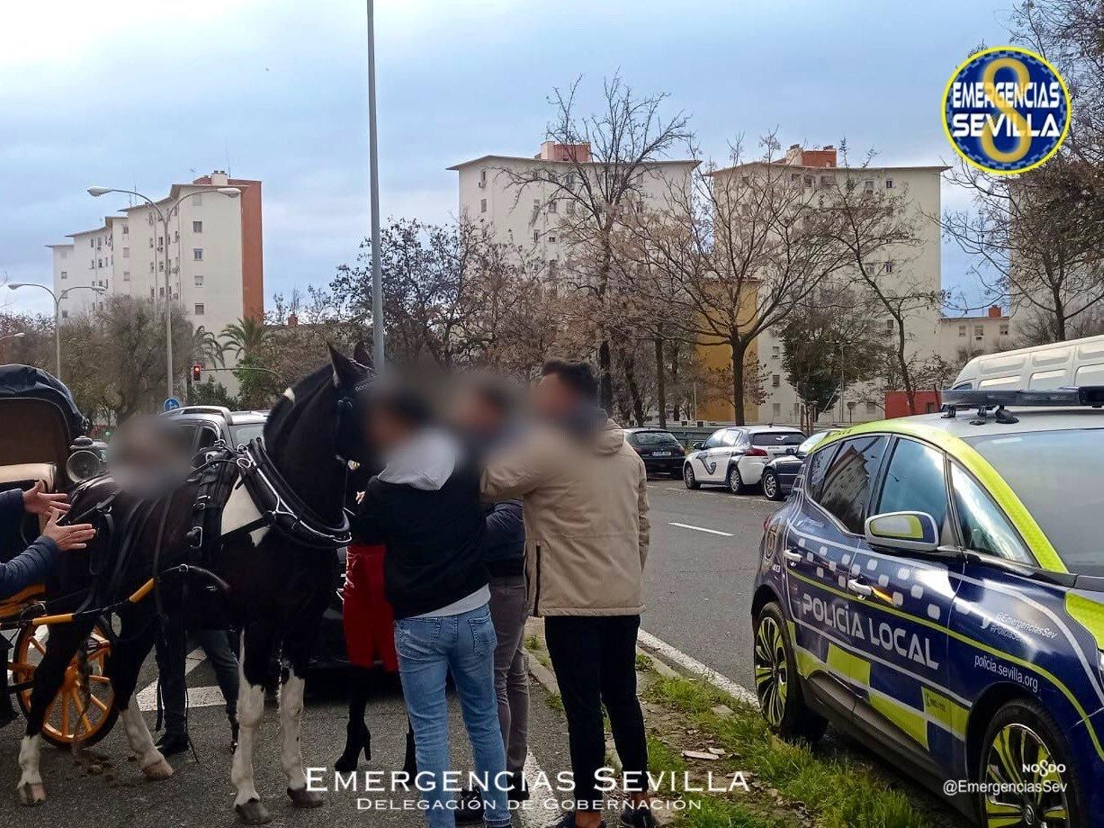 Herido un cochero al desbocarse su caballo en Sevilla