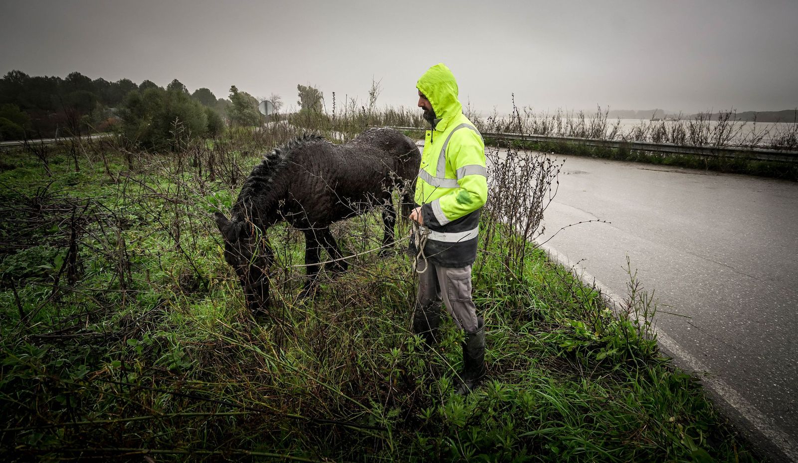 Imágenes de las graves consecuencias de la crecida del rio Guadalete en la zona rural de Jerez
