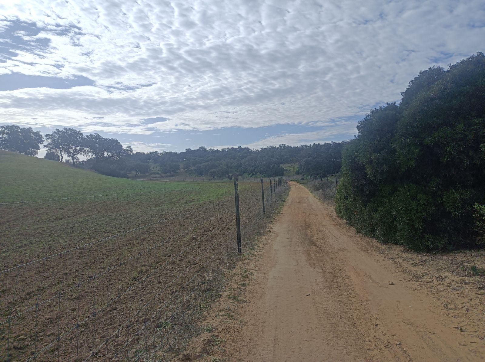 A lo lejos, el Alcornocal de la Mocheta.