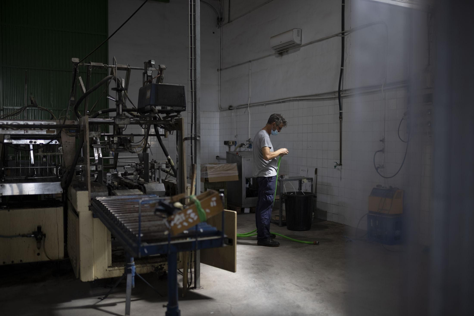 Imágenes de la vendimia en el Condado de Huelva