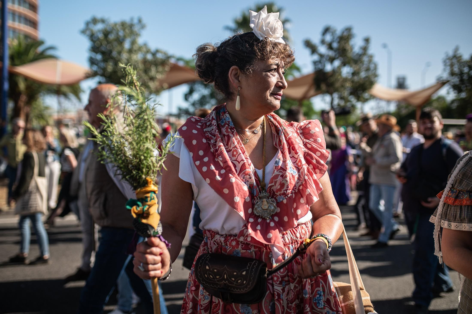 Las imágenes de la salida de Hermandad del Rocío de la Macarena