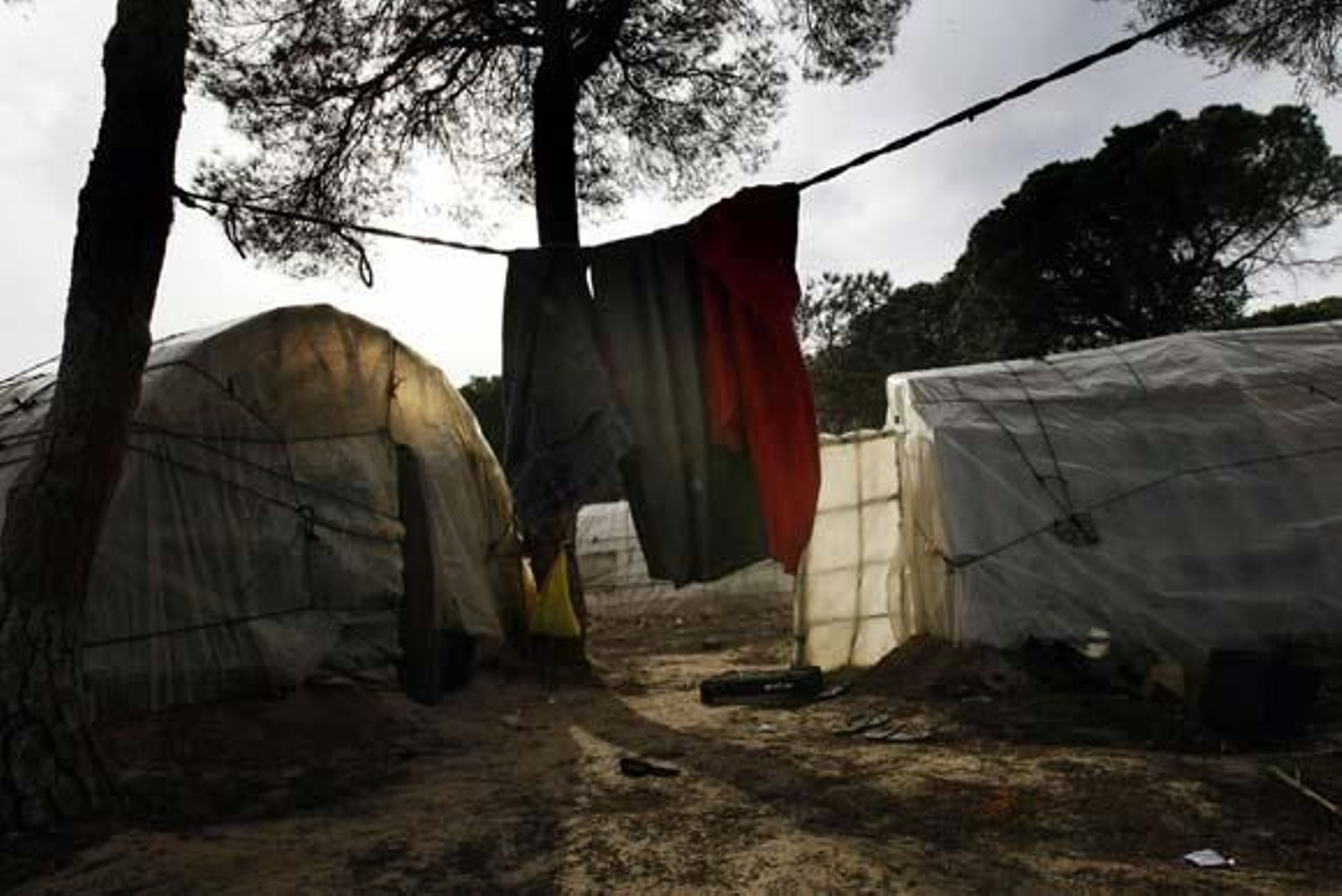 Entre Mazagón y Palos se extiende un mar blanco que oculta los campos de fresa, que oculta el lugar de ninguna parte de los africanos derrotados

Foto: Fito Carreto