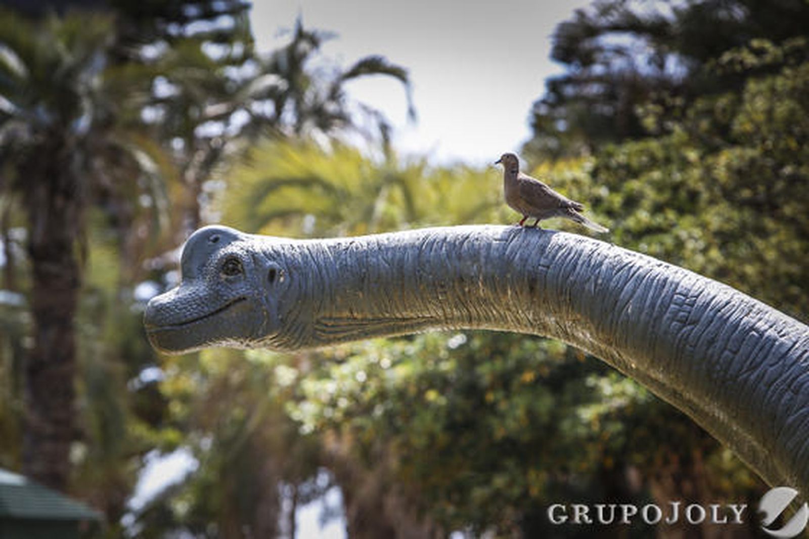 Foto: Julio Gonzalez