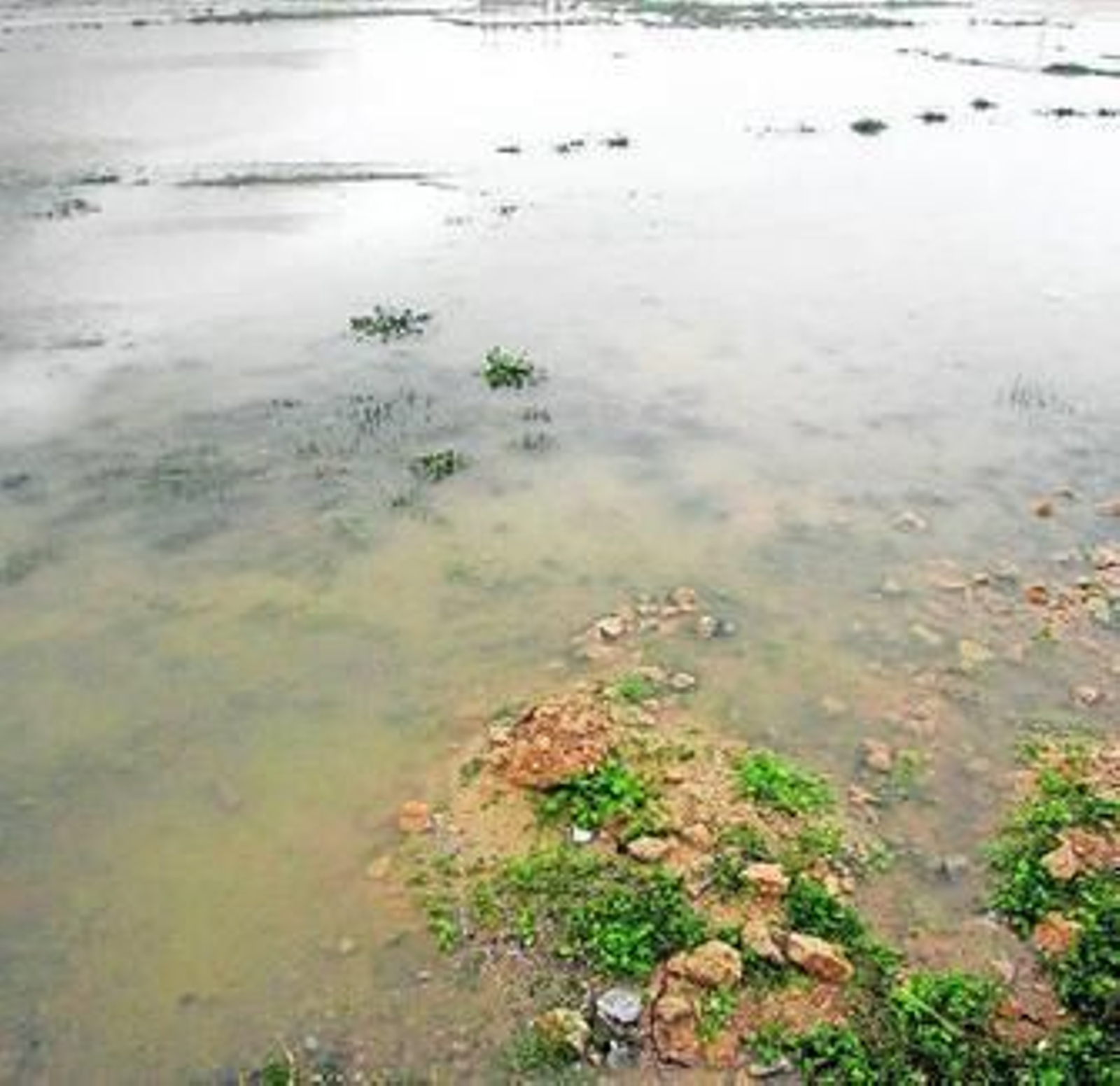 Imagen del charco de agua, hace unas semanas.
