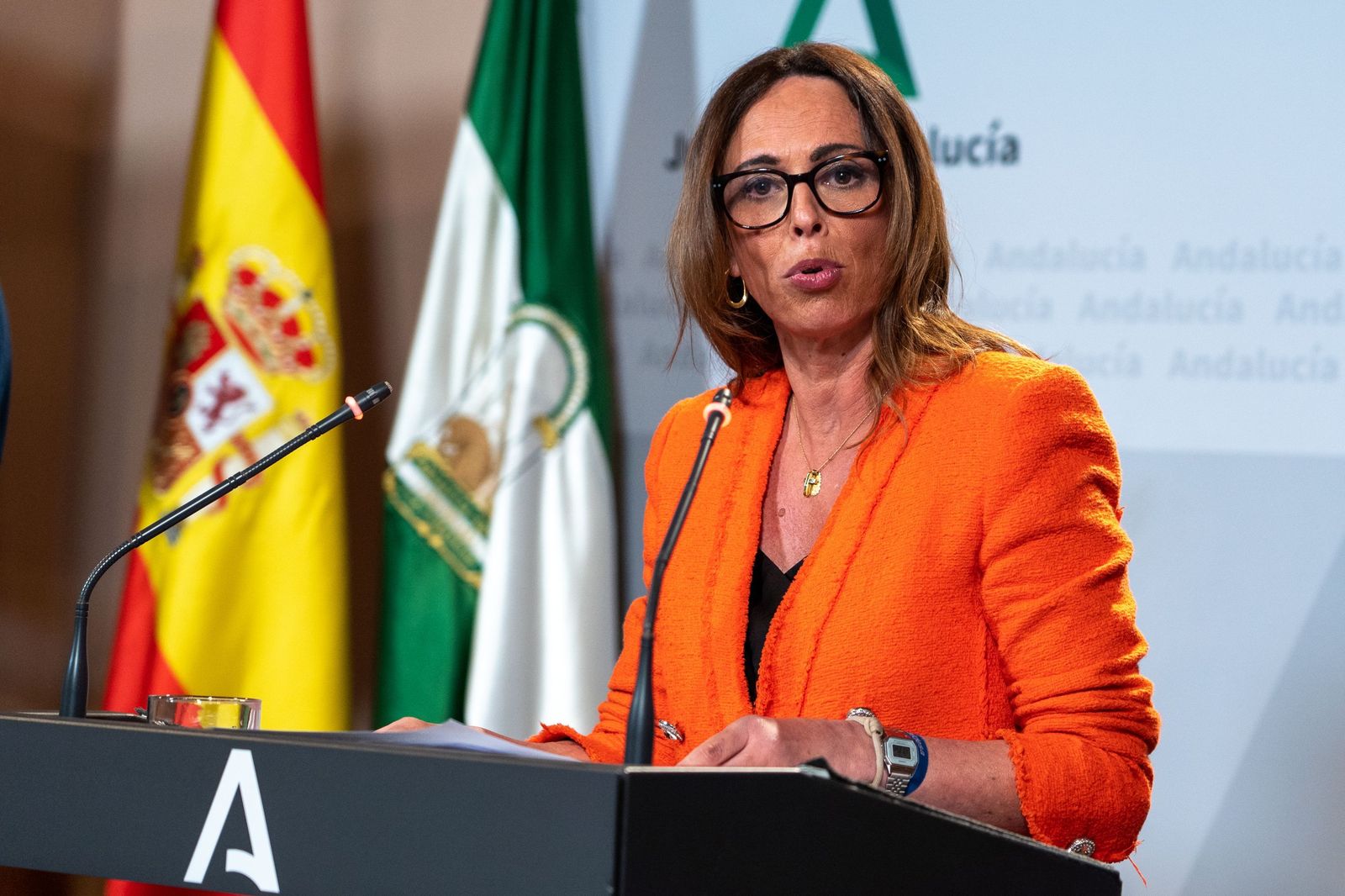 La consejera de Fomento en su primera comparecencia tras un Consejo de Gobierno.