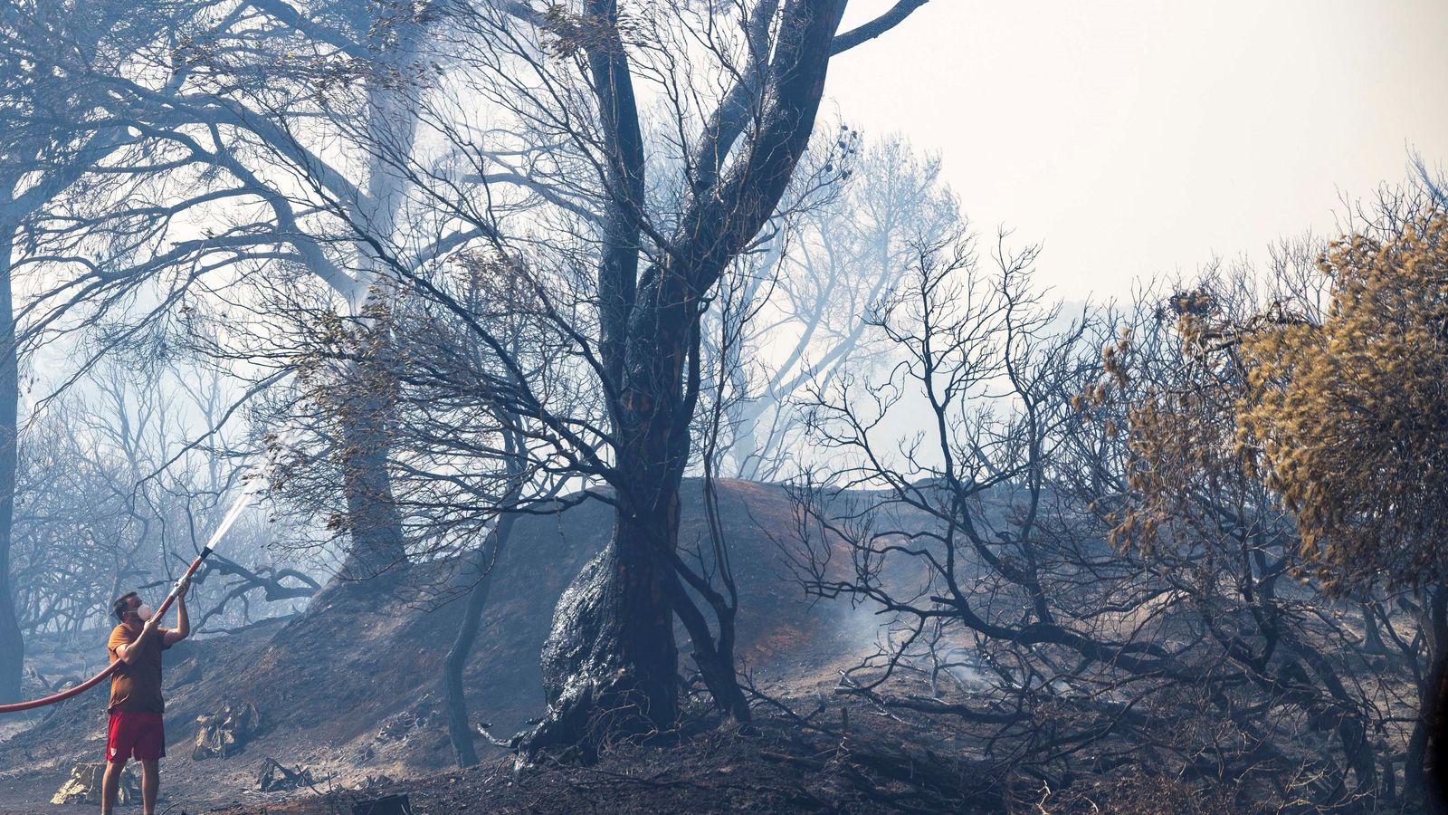 Un vecino de Puerto Real hace frente con sus propios medias al incendio del parque de las Canteras, en agosto.