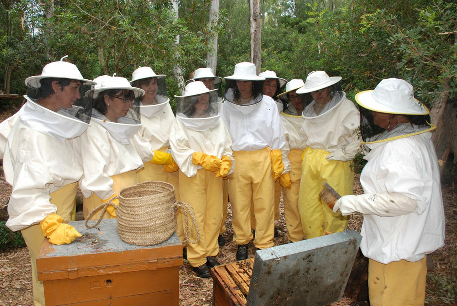 Más de 6.000 colmenas están autorizadas para producir miel en Granada