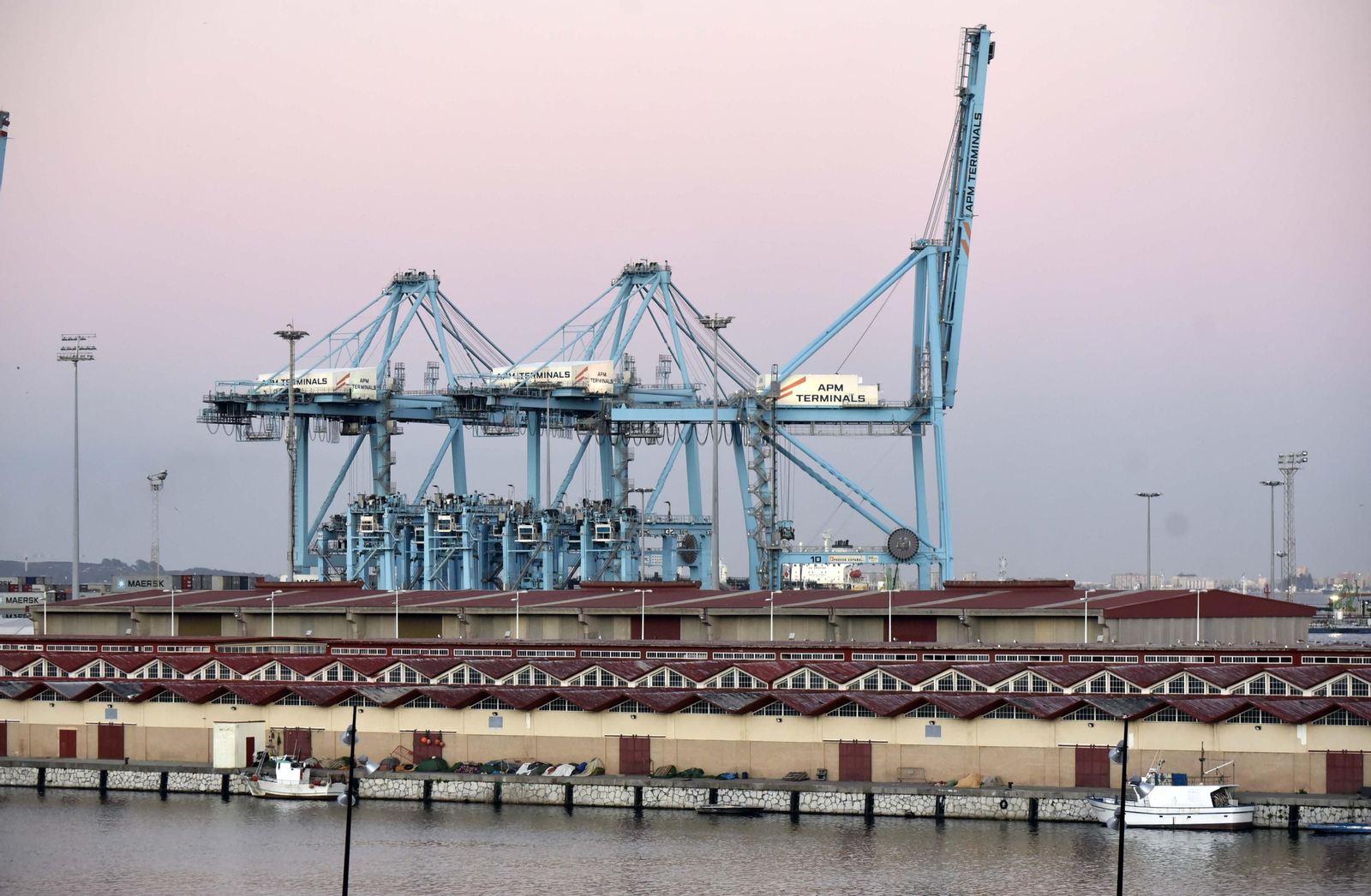 El edificio de la lonja del Puerto de Algeciras.