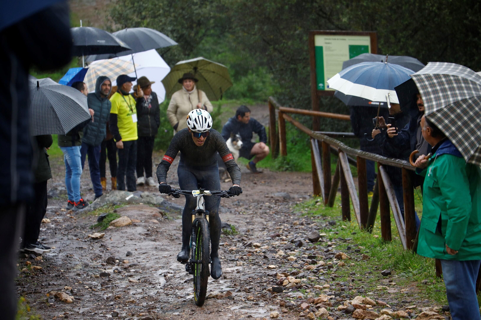 Las mejores fotos de la MTB Guzmán El Bueno 2024