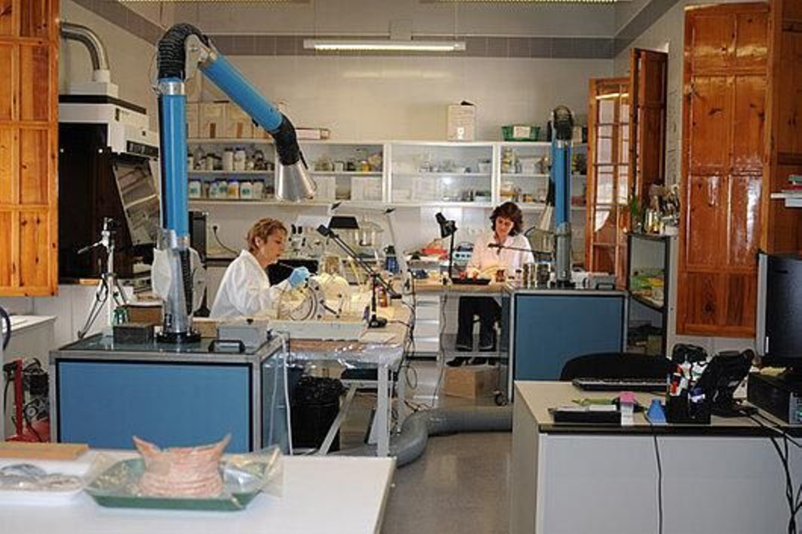 Laboratorio de restauración